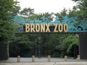 How Many Zoos Are There in the World Today?