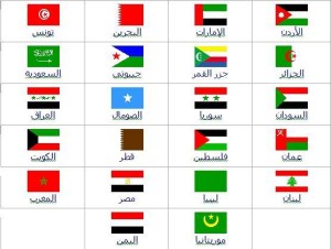 How Many Different Countries Are there that the Official Languages of them is Arabic?