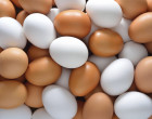How Many Grams of the Protein are there in an Egg?