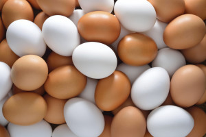 How Many Grams of the Protein are there in an Egg?