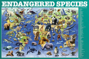 endangered-species