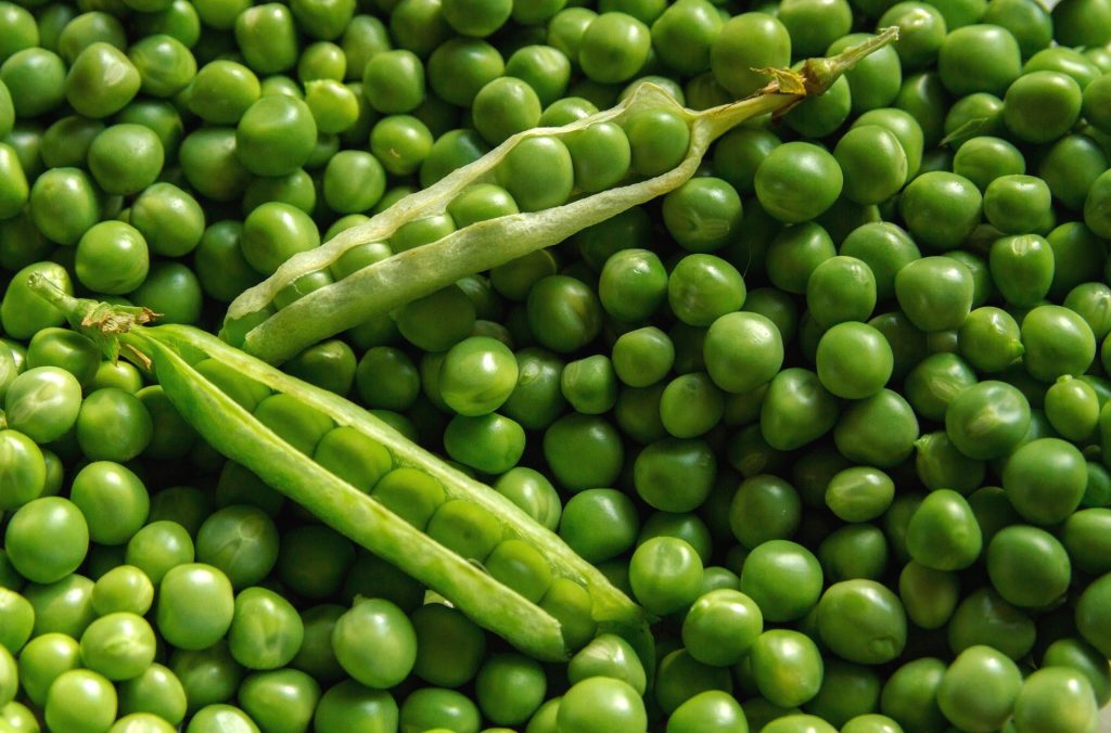 How Many Calories Are There In 100 Gram Peas?